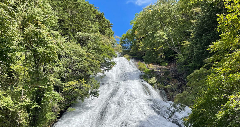 リプロの企業理念