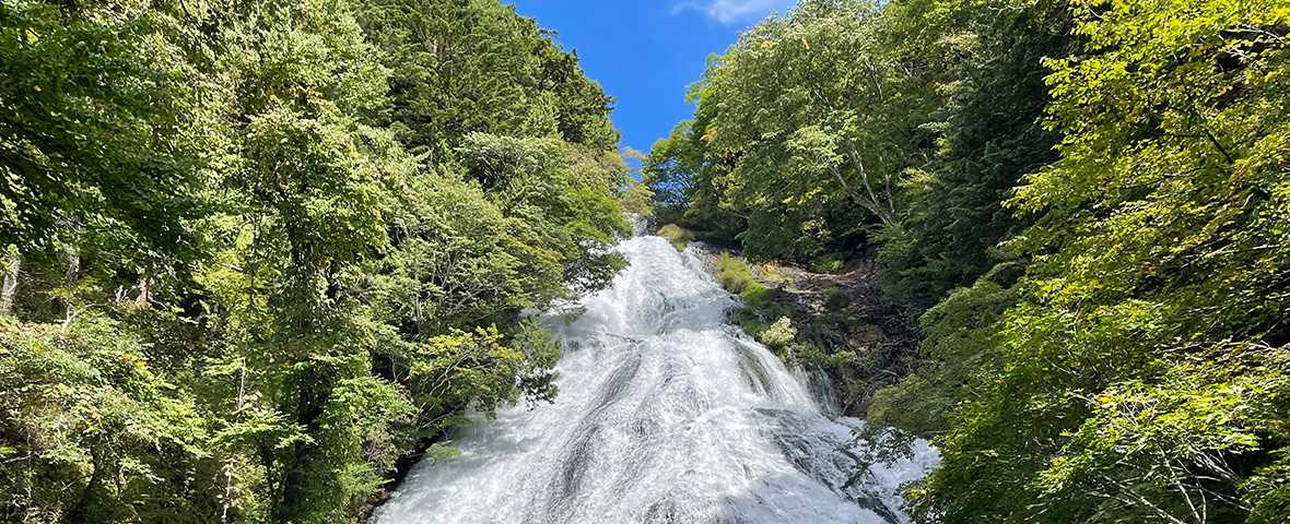 リプロの企業理念